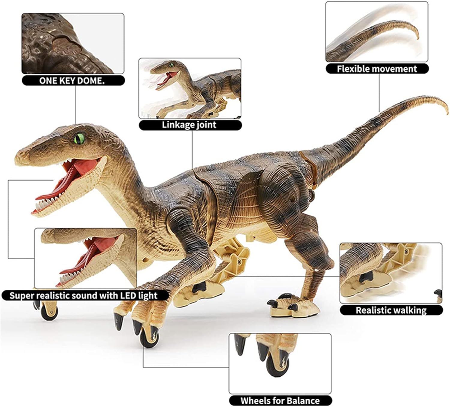 Remote Control Velociraptor Dinosaur Toy with LED Eyes